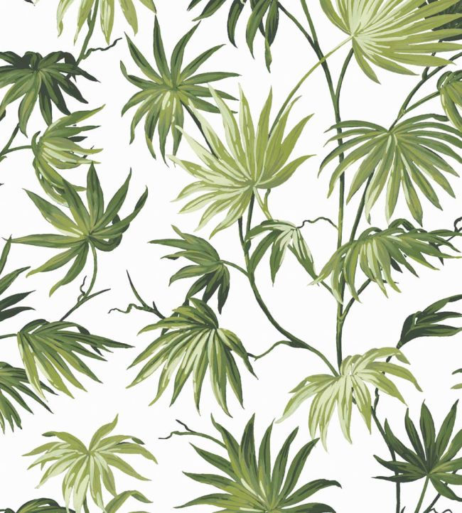 Va Va Frome Wallpaper by Woodchip & Magnolia Meadow Green