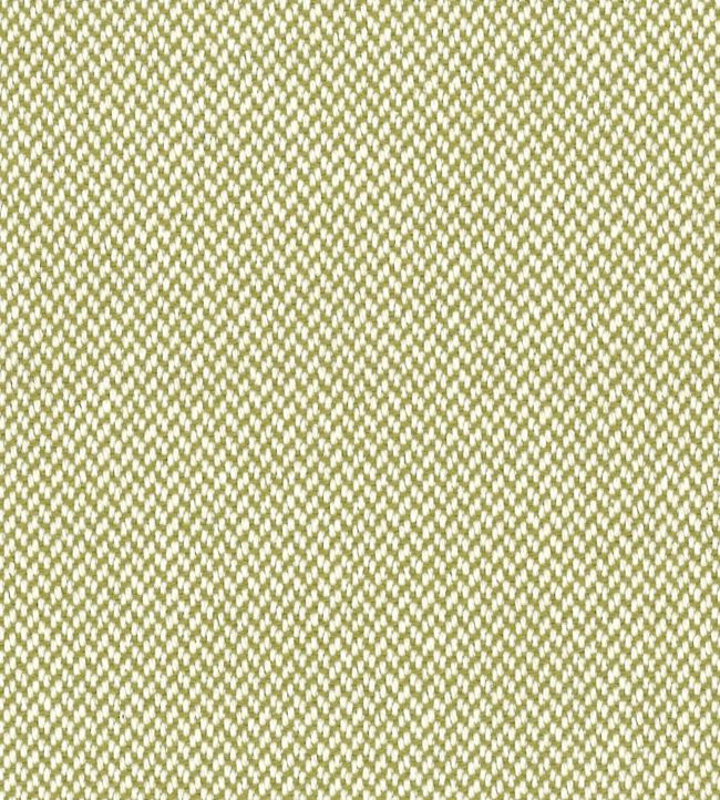 Valbonne Fabric by Marvic Tilleul