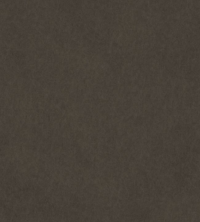 Vaquero Fabric by Warwick Aniline