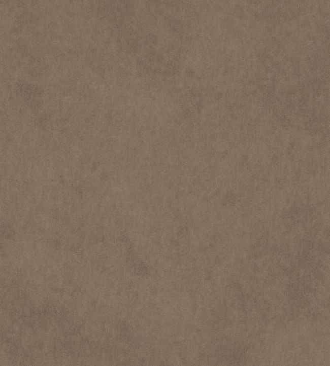 Vaquero Fabric by Warwick Fawn