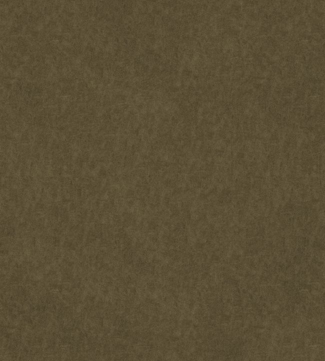 Vaquero Fabric by Warwick Racing