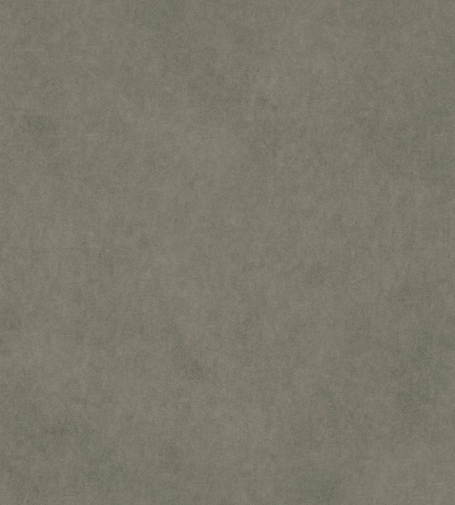 Vaquero Fabric by Warwick Seal