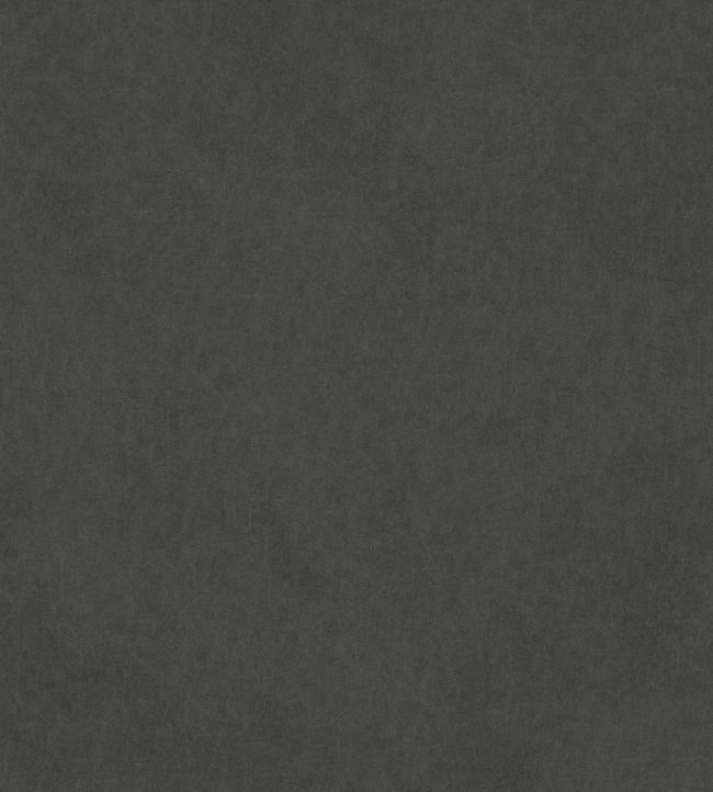 Vaquero Fabric by Warwick Slate