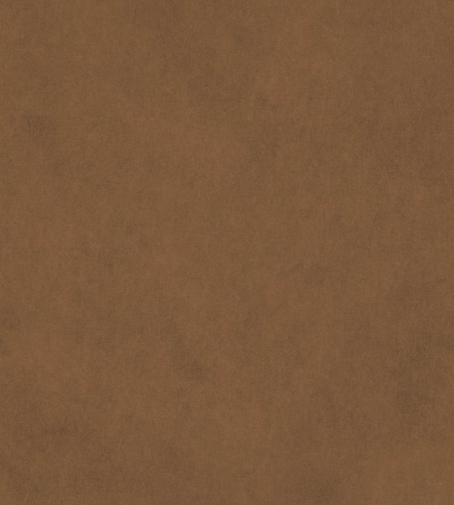 Vaquero Fabric by Warwick Tan