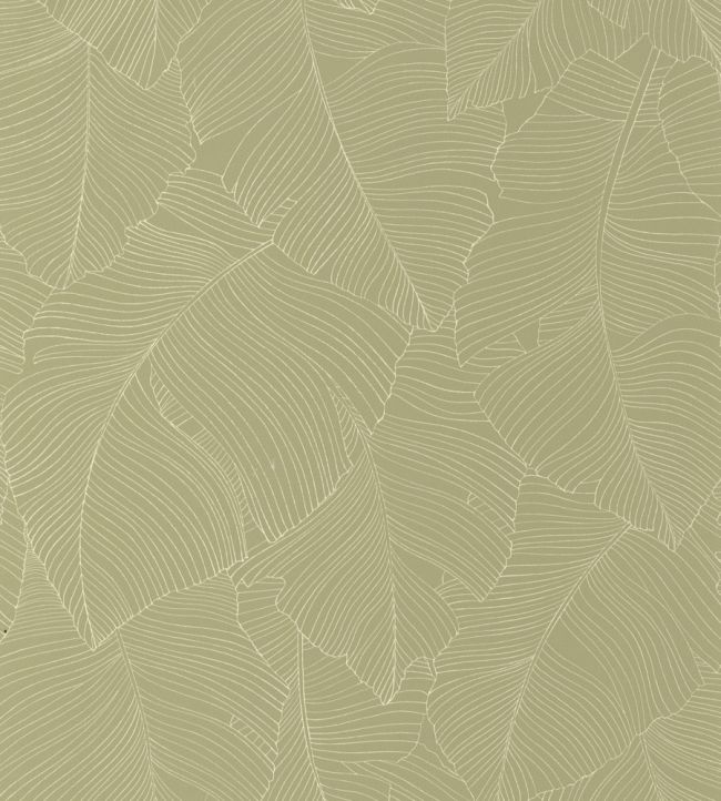 Vegetalia Wallpaper by Caselio Kaki