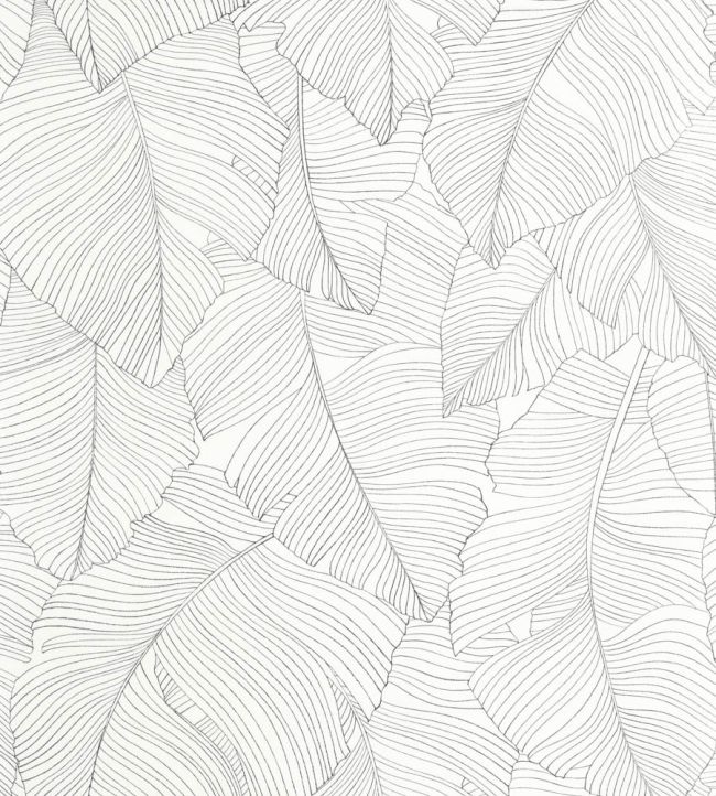 Vegetalia Wallpaper by Caselio Noir et blanc