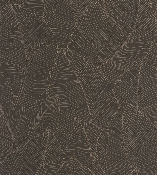 Vegetalia Wallpaper by Caselio Noir Sepia
