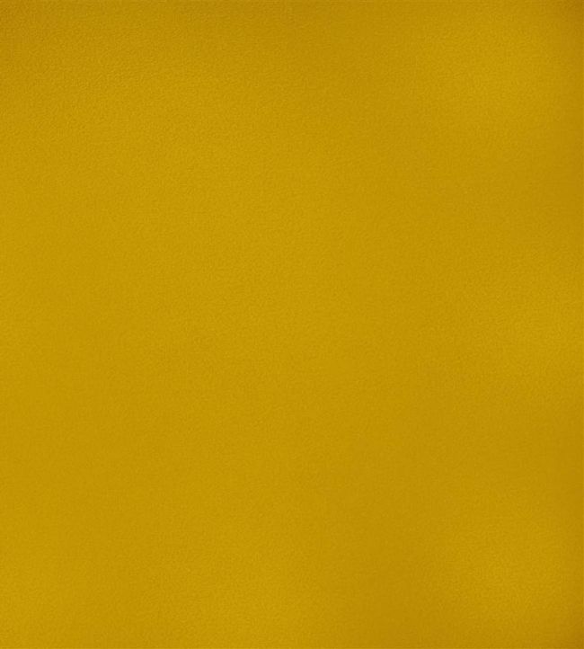 Velluto Stretto Fabric by Designers Guild Alchemilla