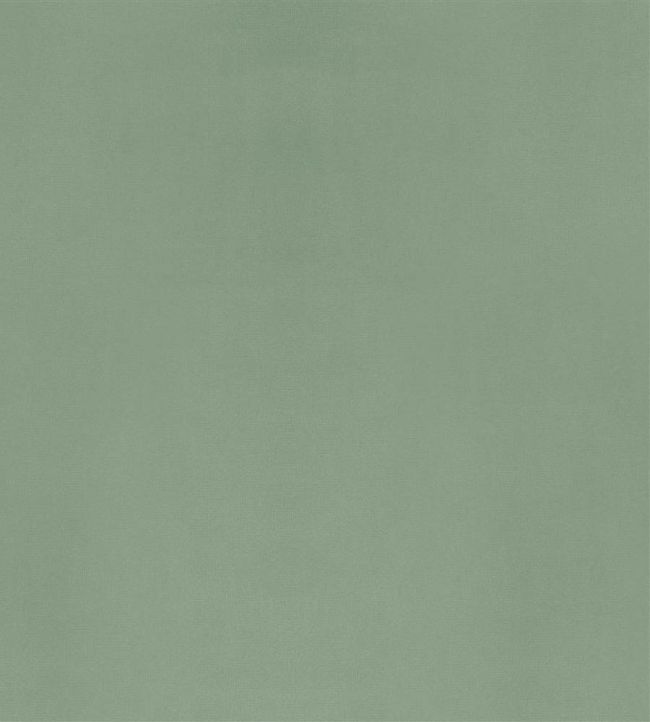 Velluto Fabric by Designers Guild Antique Green