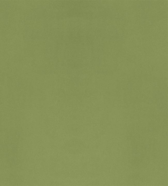 Velluto Fabric by Designers Guild Apple