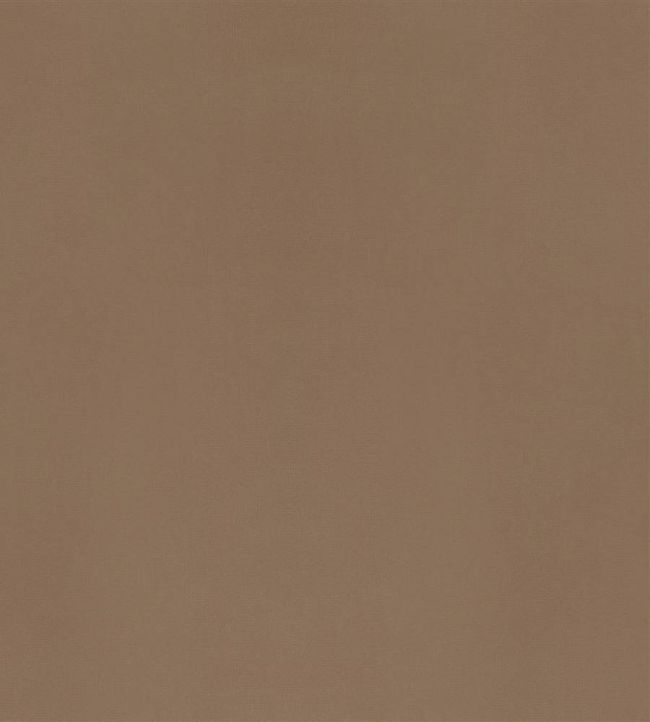 Velluto Fabric by Designers Guild Caramel