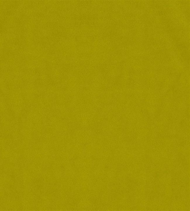 Velluto Stretto Fabric by Designers Guild Leaf