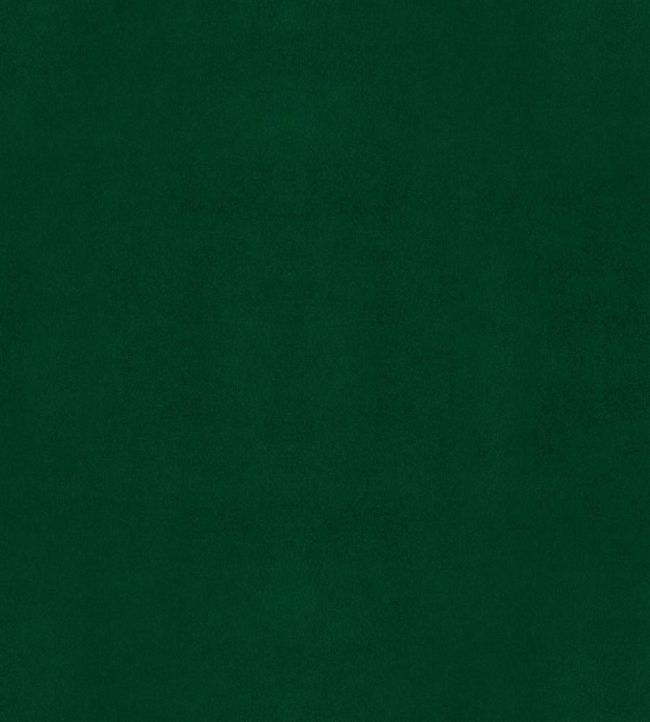 Velluto Stretto Fabric by Designers Guild Malachite