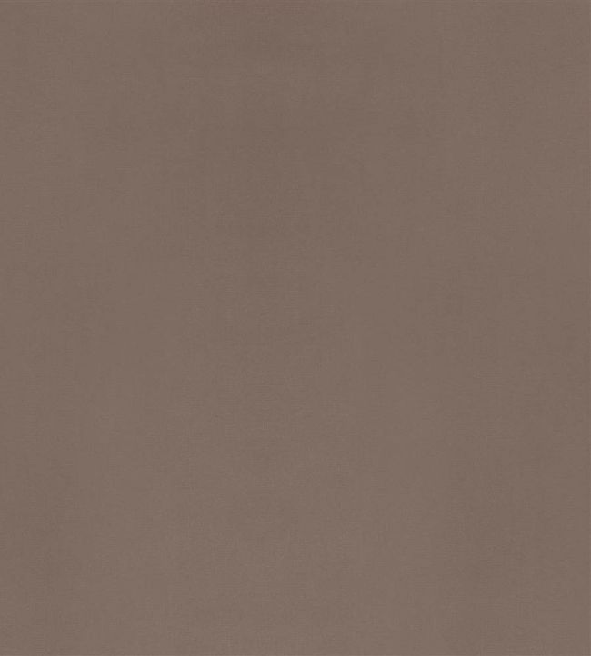 Velluto Fabric by Designers Guild Mink