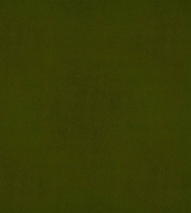 Velluto Stretto Fabric by Designers Guild Moss