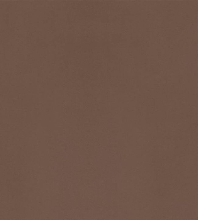 Velluto Fabric by Designers Guild Nutmeg