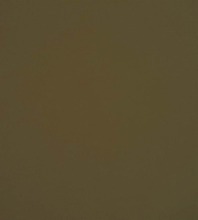 Velluto Fabric by Designers Guild Olive