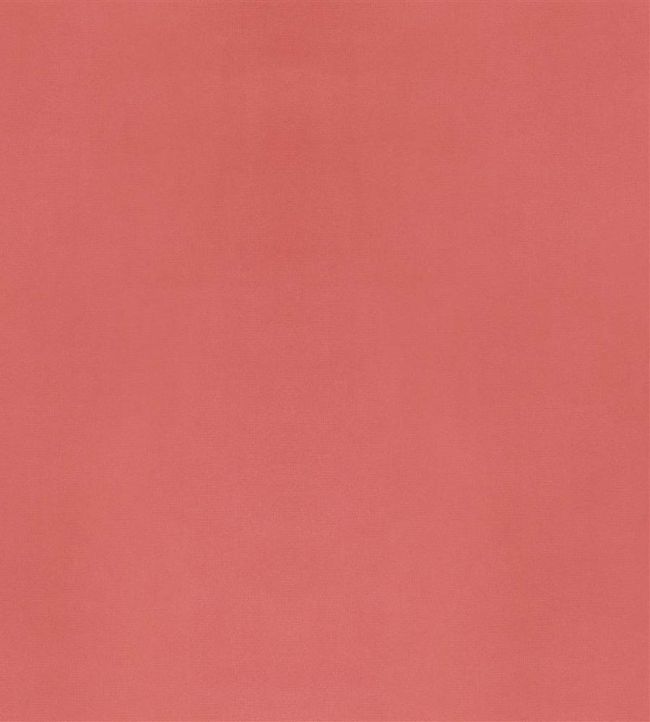 Velluto Fabric by Designers Guild Papaya