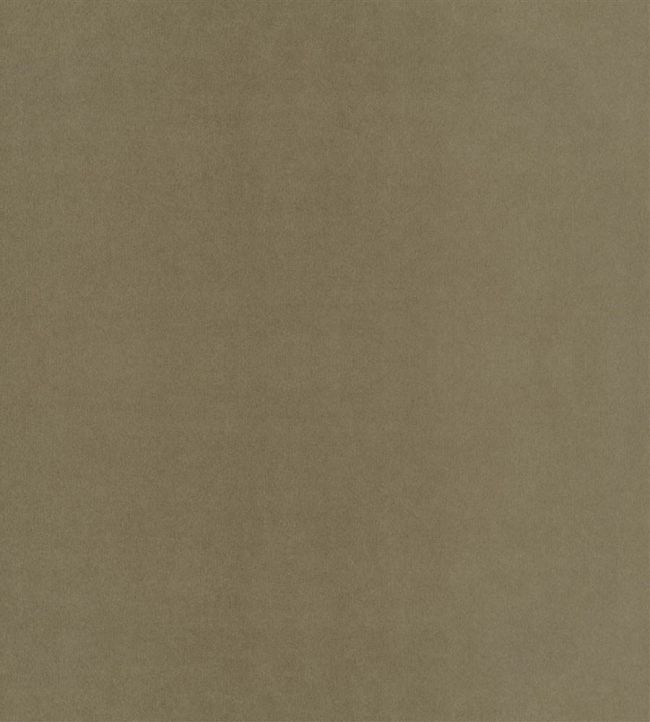 Velluto Stretto Fabric by Designers Guild Roebuck