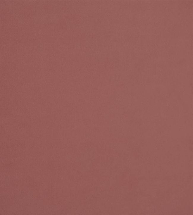 Velluto Stretto Fabric by Designers Guild Rose