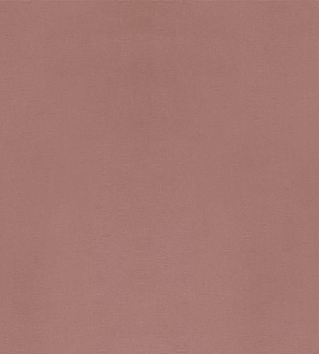 Velluto Fabric by Designers Guild Tea Rose