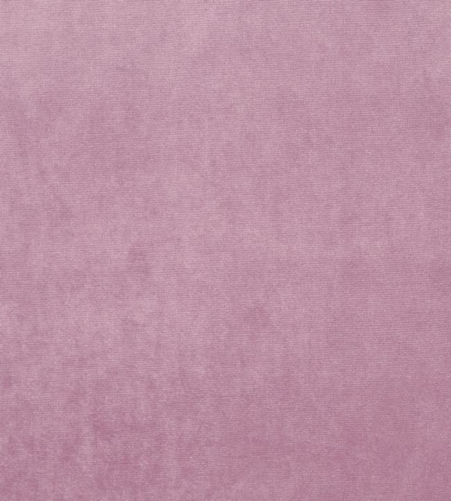 Velour Fabric by Prestigious Textiles Orchid