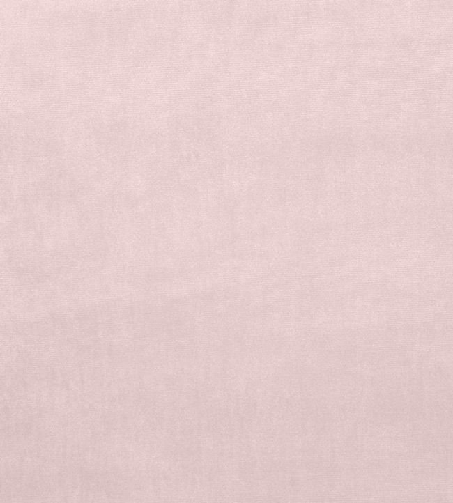 Velour Fabric by Prestigious Textiles Woodrose