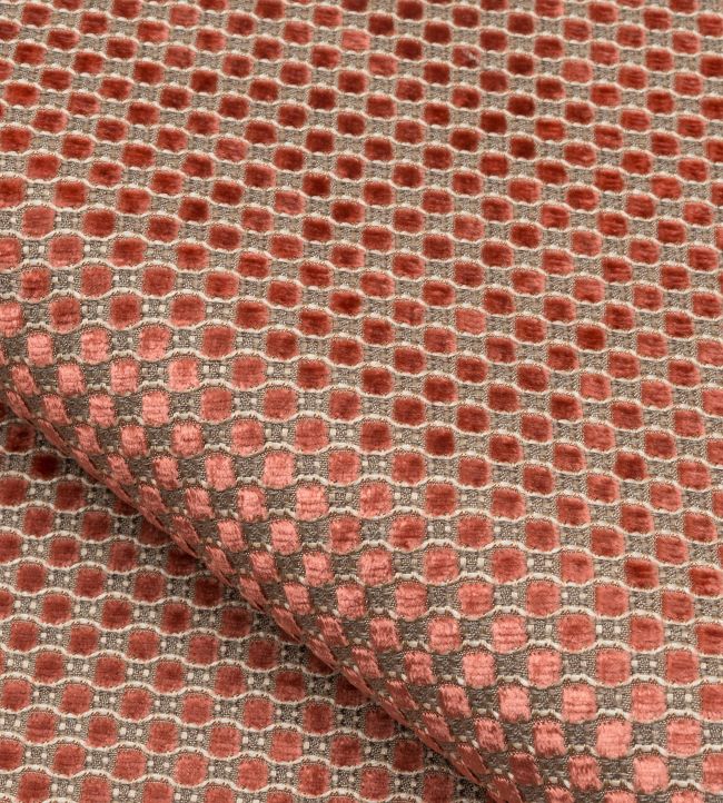 Velours Raphael Fabric by Nobilis Rose