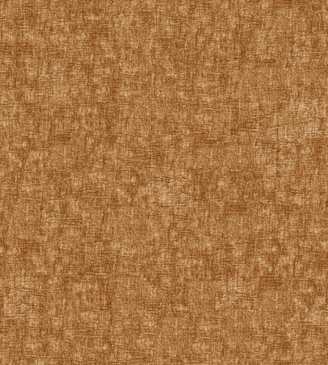Verbier FR Fabric by Warwick Burnt