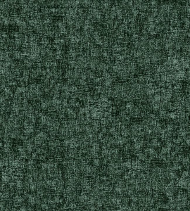 Verbier FR Fabric by Warwick Forest