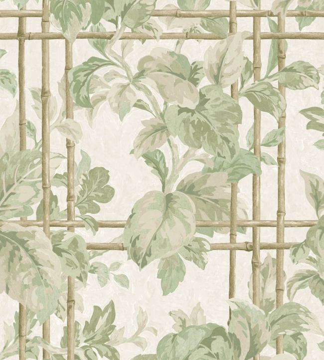 Verdant Trellis Wallpaper by Woodchip & Magnolia Laurel