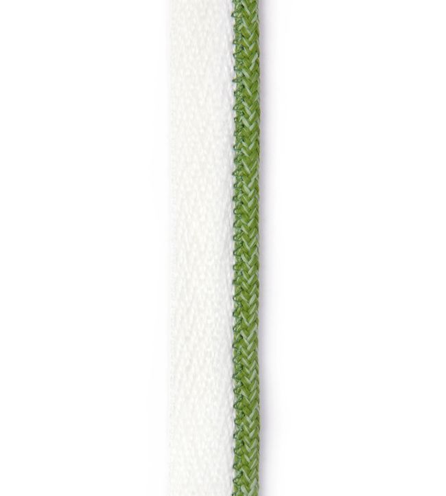 Vertelli Piping Performance Trim by Christopher Farr Cloth Kiwi