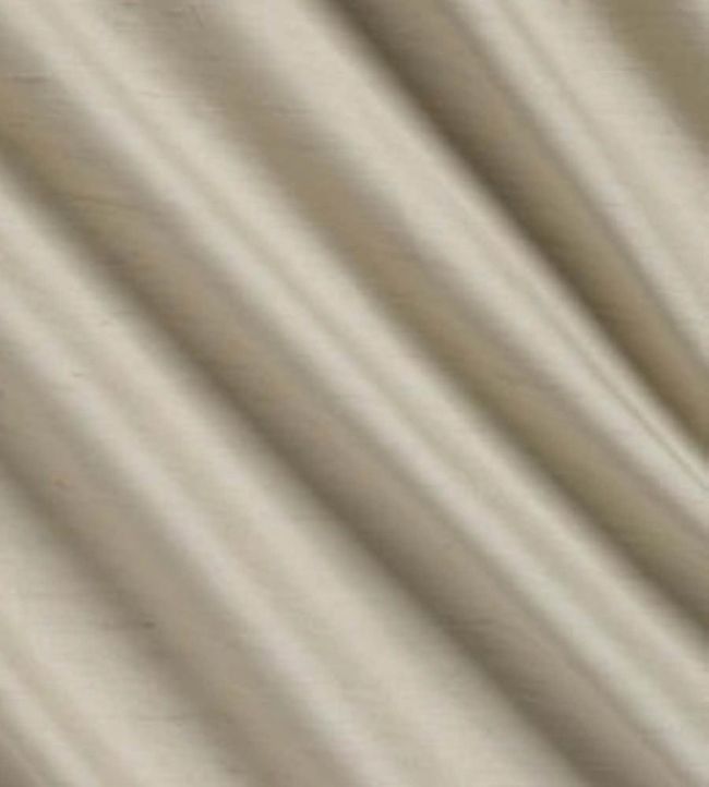 Vienne Silk Fabric by James Hare Chrysalis