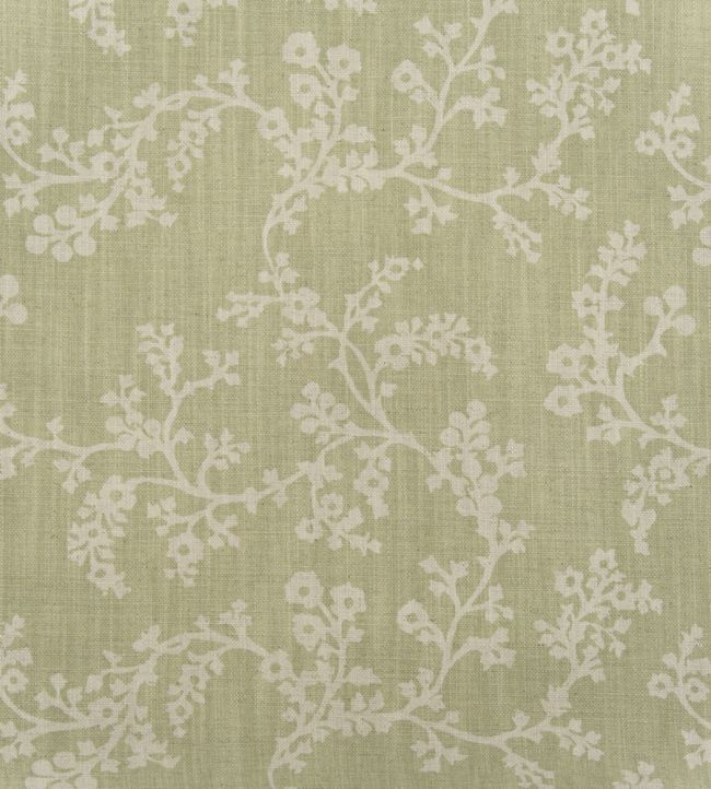 Vine Fabric by Andrew Martin Fennel