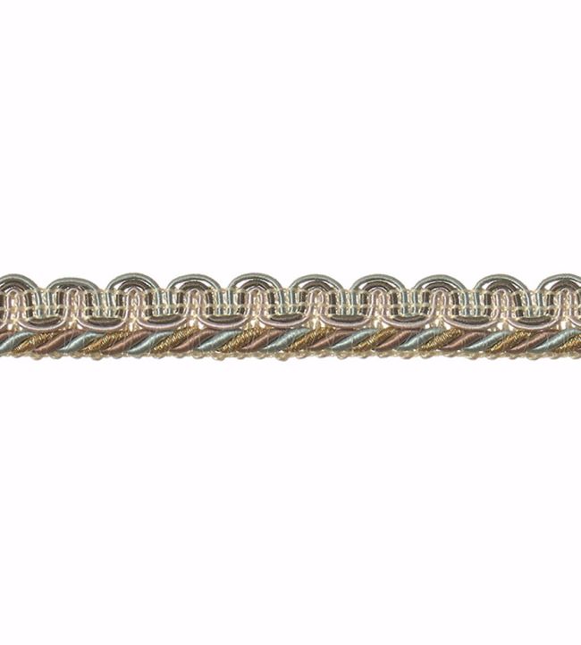 Volanges Gimp Braid Trimming by Houles Brun Vision