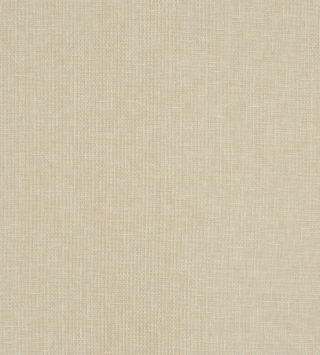 Waffle Fabric by Prestigious Textiles Pampas