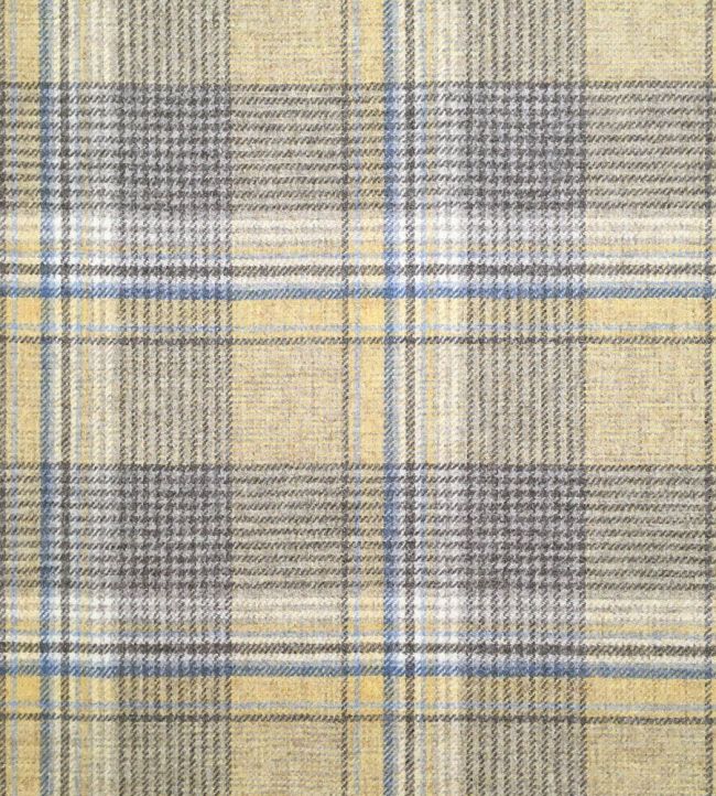Wagtail Plaid Fabric by Ian Sanderson Sandstone