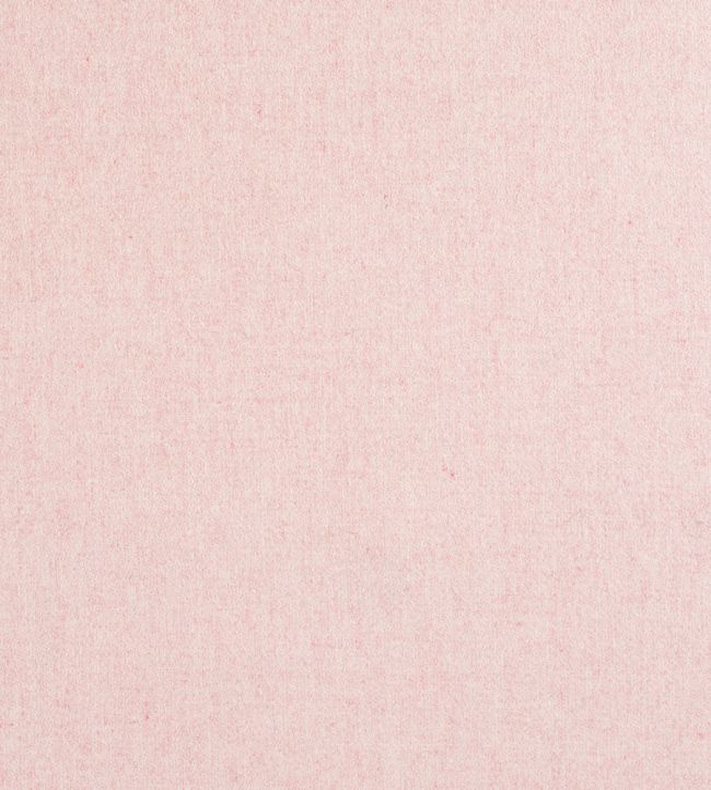 Amatheon FR Fabric by Warwick BLUSH