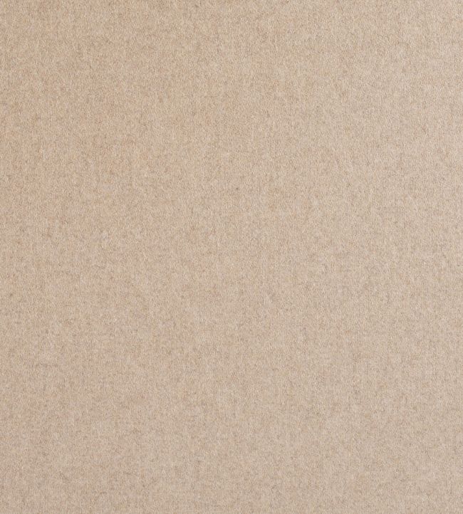 Amatheon FR Fabric by Warwick CAMEL