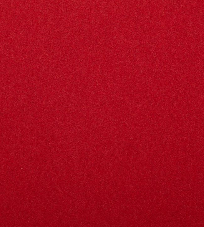 Amatheon FR Fabric by Warwick LADYBIRD