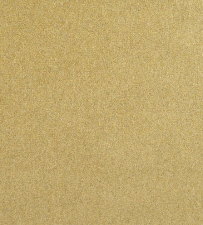 Amatheon FR Fabric by Warwick MUSTARD