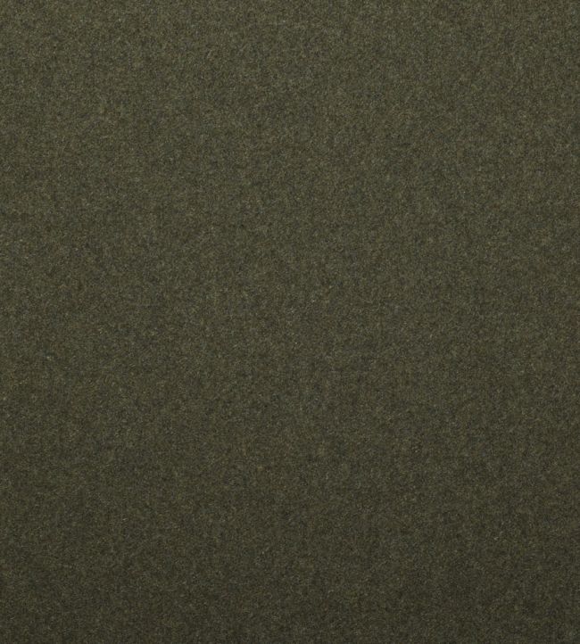 Amatheon FR Fabric by Warwick WILLOW