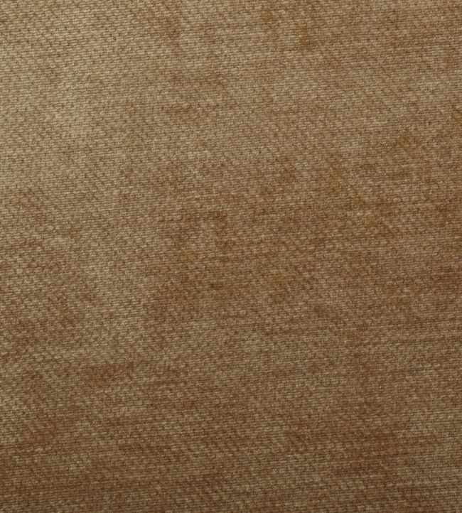Dolce Fabric by Warwick Biscuit