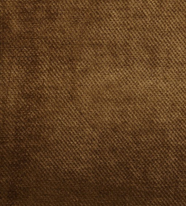 Dolce Fabric by Warwick Butterscotch