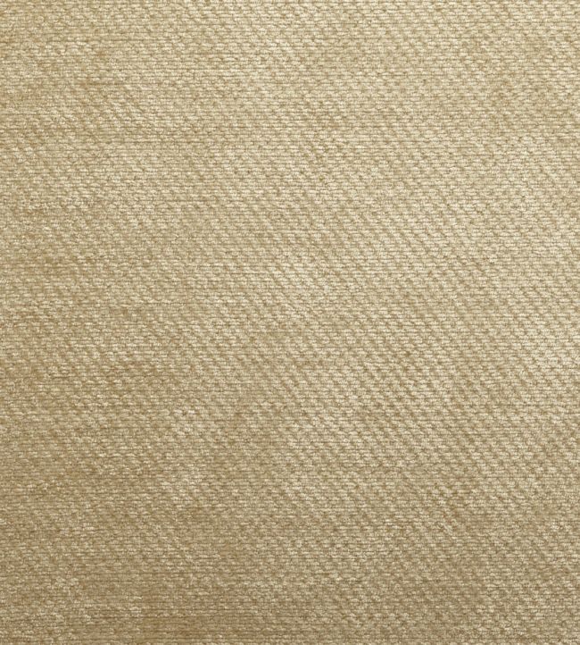 Dolce Fabric by Warwick Champagne
