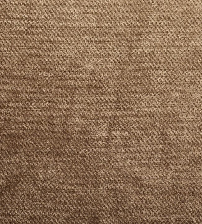 Dolce Fabric by Warwick Sable