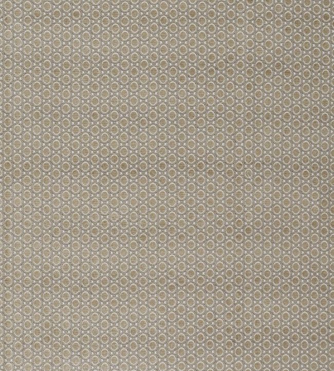 Paley Fabric by Warwick Lichen