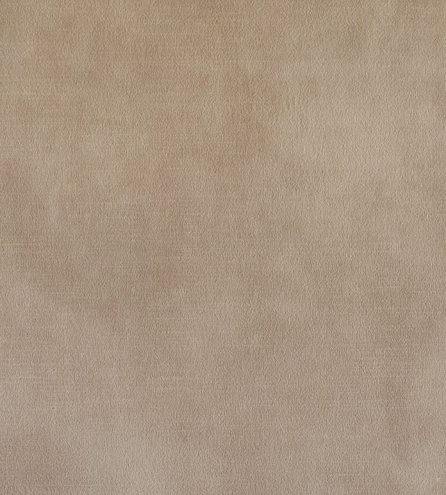 Lovely FR Fabric by Warwick Champagne