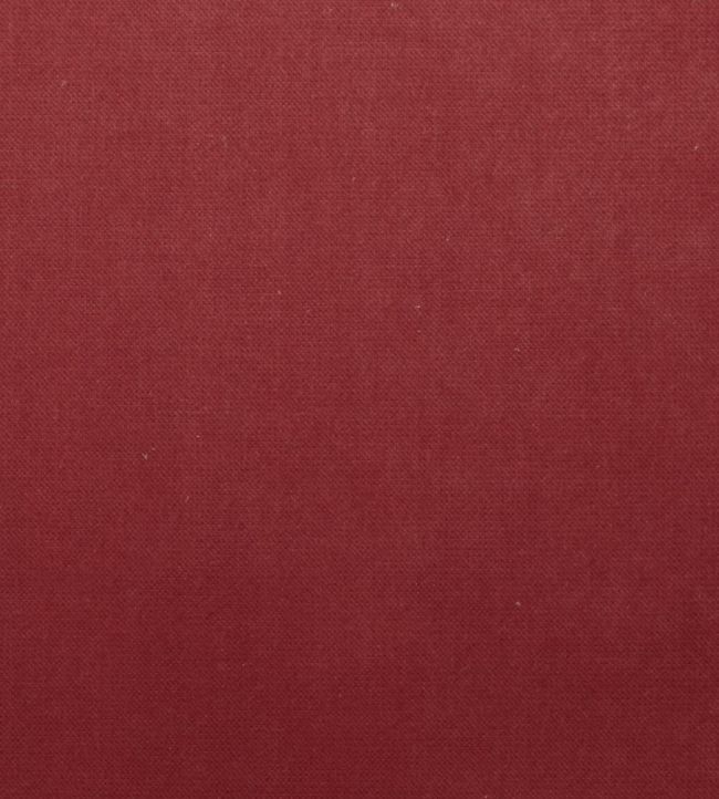 Mystere Fabric by Warwick BLUSH