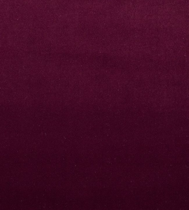 Mystere Fabric by Warwick BOYSENBERRY